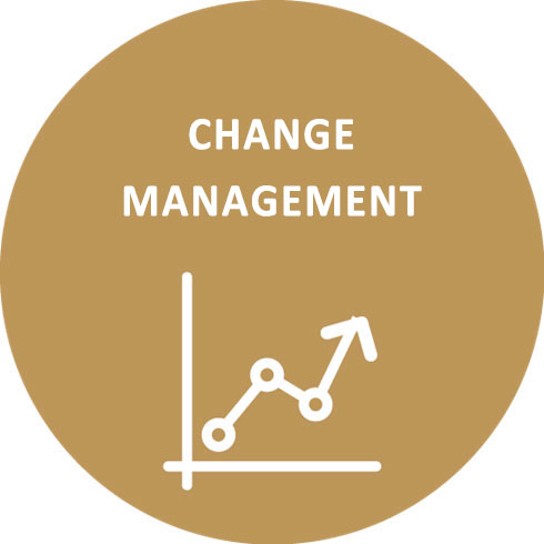 CHANGE MANAGEMENT DE